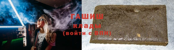 индика Абинск