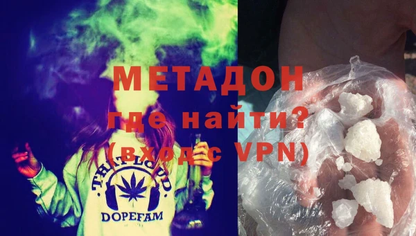 сатива Инта