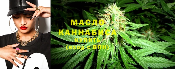 индика Абинск