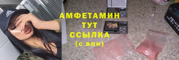 индика Абинск