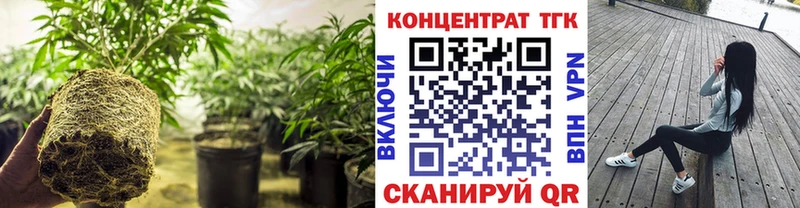 продажа наркотиков  OMG зеркало  Дистиллят ТГК гашишное масло  это официальный сайт  Ужур 