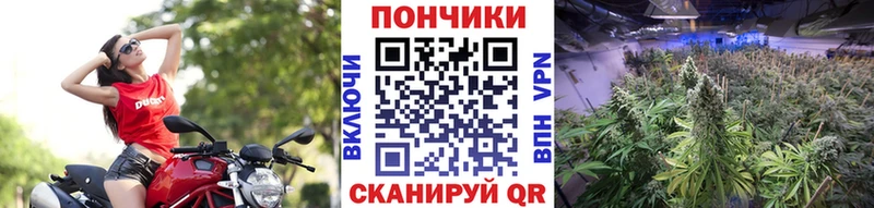 МАРИХУАНА семена  kraken ССЫЛКА  Ужур 